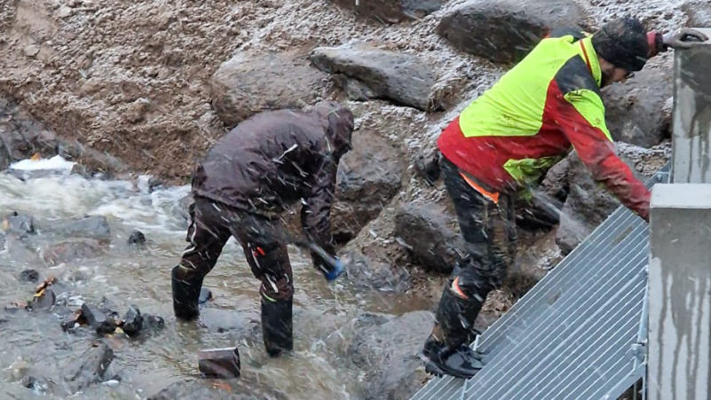 jp-gartentraum-rennerod-jobs_02