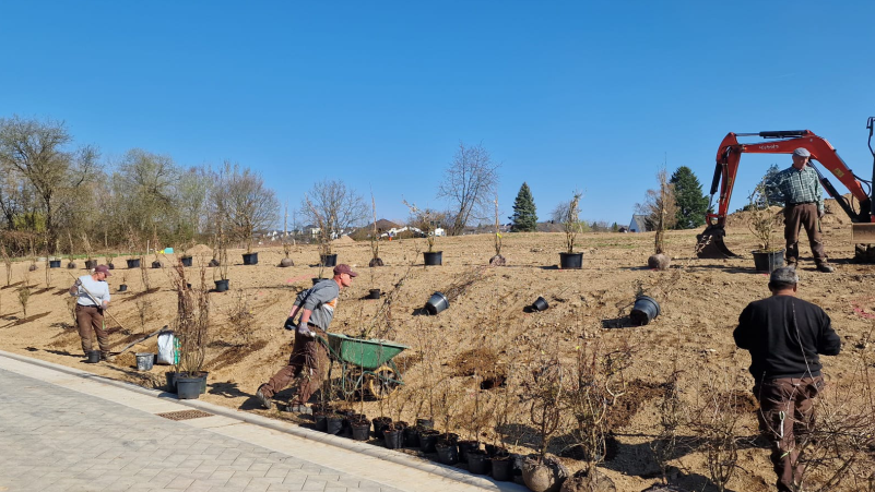 jp-gartentraum-rennerod-jobs_03